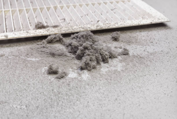 Best Air Duct Cleaning Near Me  in Lewiston, MN