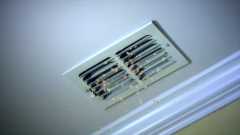 Best Ductwork Cleaning Services  in Lewiston, MN