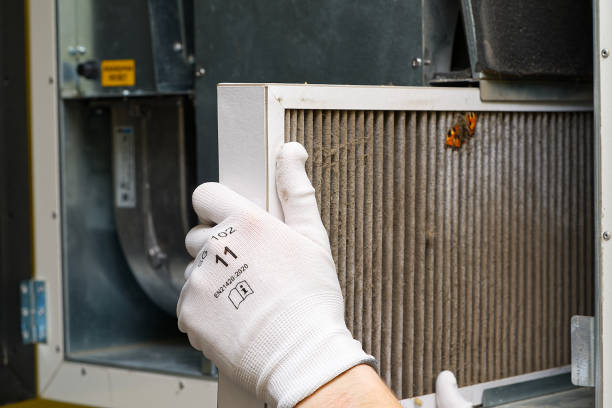 Best Air Duct Cleaning Near Me in MN
